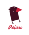 Pájaro - A one-of-a-kind animation studio